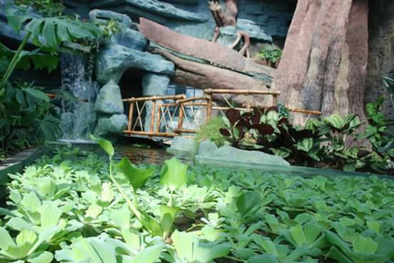 Выставка экзотических животных